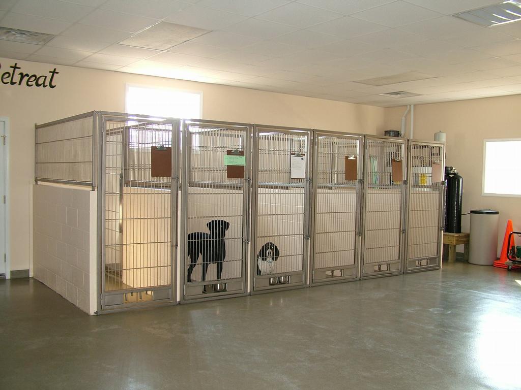 Morehead City Nc Dog Kennel Morehead City Nc Dog Kennel